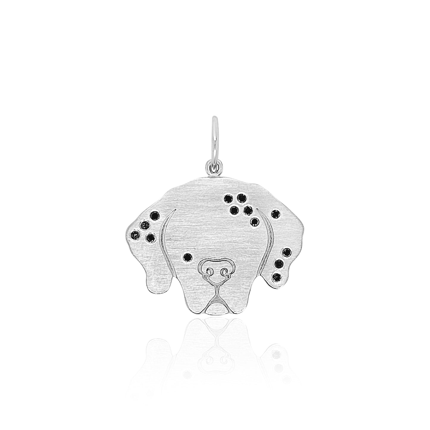 Dalmatian Charm